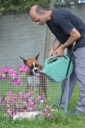 IMPÉRIO DO ELDORADO 