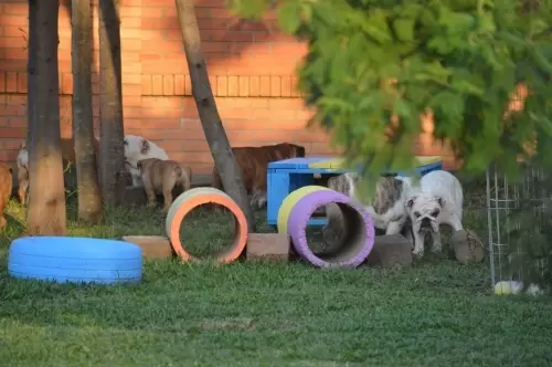 IMPÉRIO DO ELDORADO 