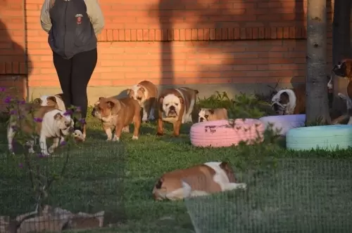 IMPÉRIO DO ELDORADO 