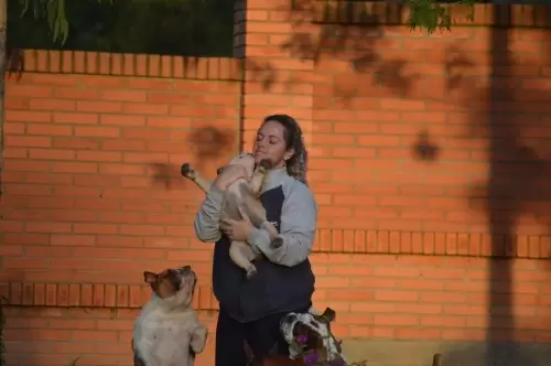 IMPÉRIO DO ELDORADO 