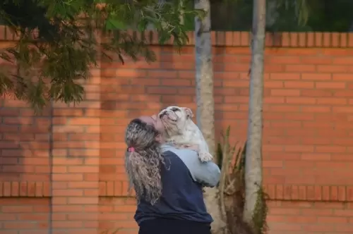 IMPÉRIO DO ELDORADO 