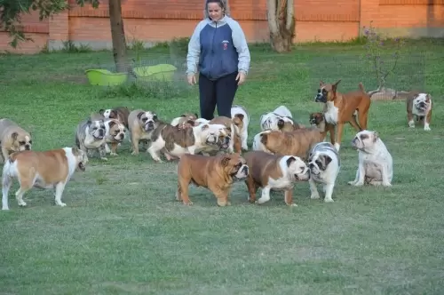 IMPÉRIO DO ELDORADO 