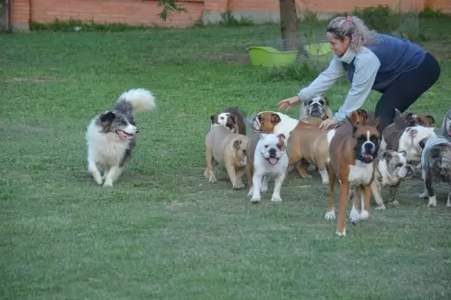 IMPÉRIO DO ELDORADO 