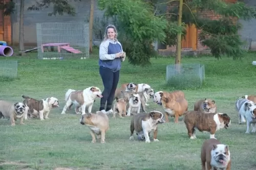 IMPÉRIO DO ELDORADO 