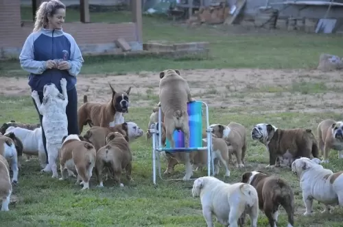 IMPÉRIO DO ELDORADO 