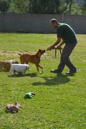 IMPÉRIO DO ELDORADO 