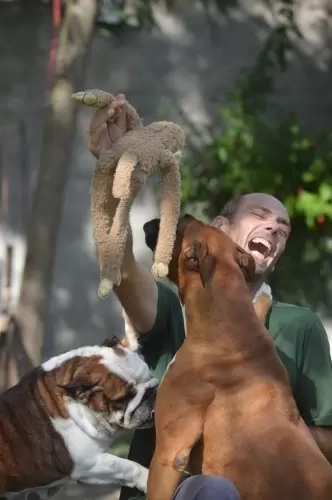 IMPÉRIO DO ELDORADO 