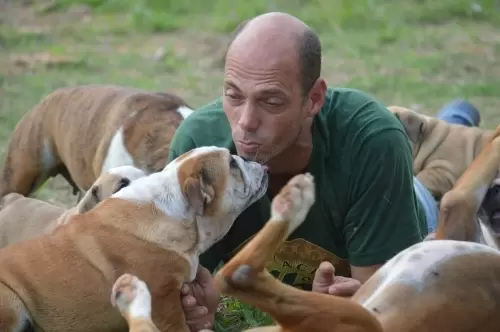 IMPÉRIO DO ELDORADO 