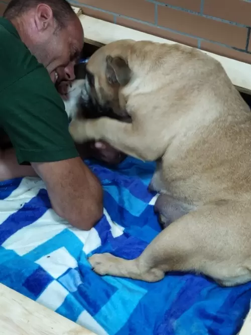 IMPÉRIO DO ELDORADO 