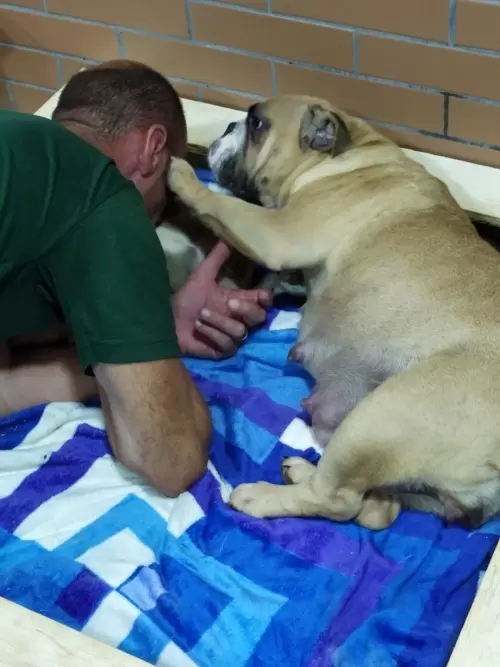 IMPÉRIO DO ELDORADO 