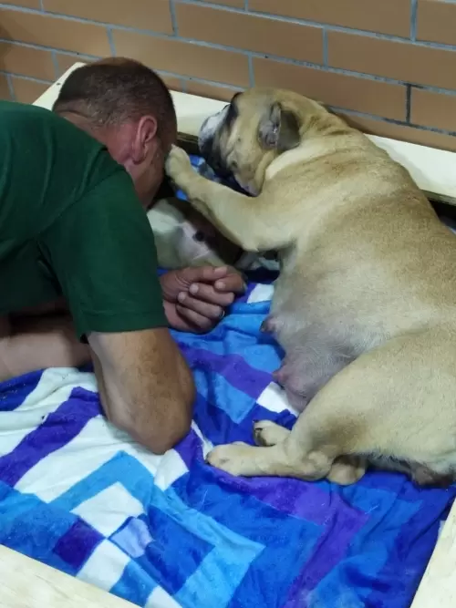 IMPÉRIO DO ELDORADO 