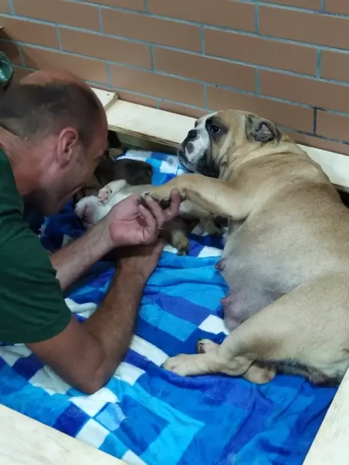 IMPÉRIO DO ELDORADO 