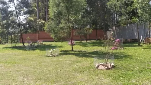 IMPÉRIO DO ELDORADO 