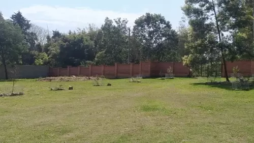 IMPÉRIO DO ELDORADO 