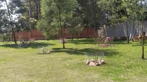 IMPÉRIO DO ELDORADO 